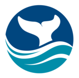 HIHWNMS-Logo_Vertical_Full-Color-2-1024x1024-1