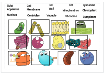 Screenshot 2025-12-18 at 9.11.36 AM