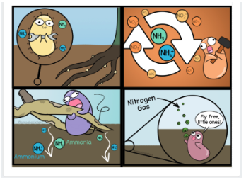 Screenshot 2025-12-18 at 9.18.21 AM