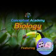 ca bio with amoeba sisters