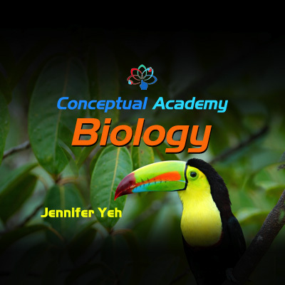 Conceptual Academy_Biology