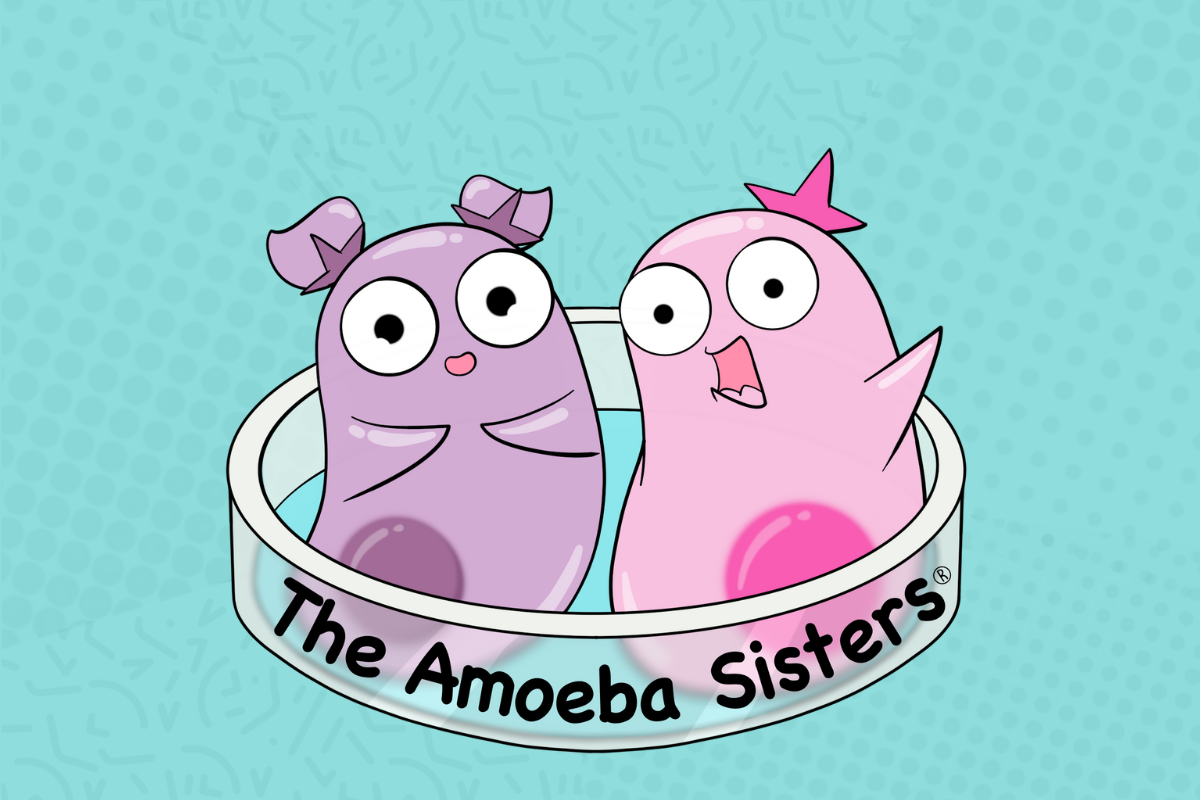 Teaching Science the Fun Way with the Amoeba Sisters