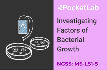 Investigating Factors of Bacterial Growth-min