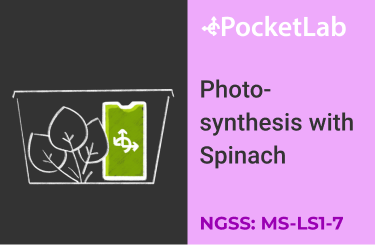 Photosynthesis  with Spinach
