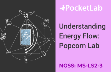 Understanding Energy Flow Popcorn Lab