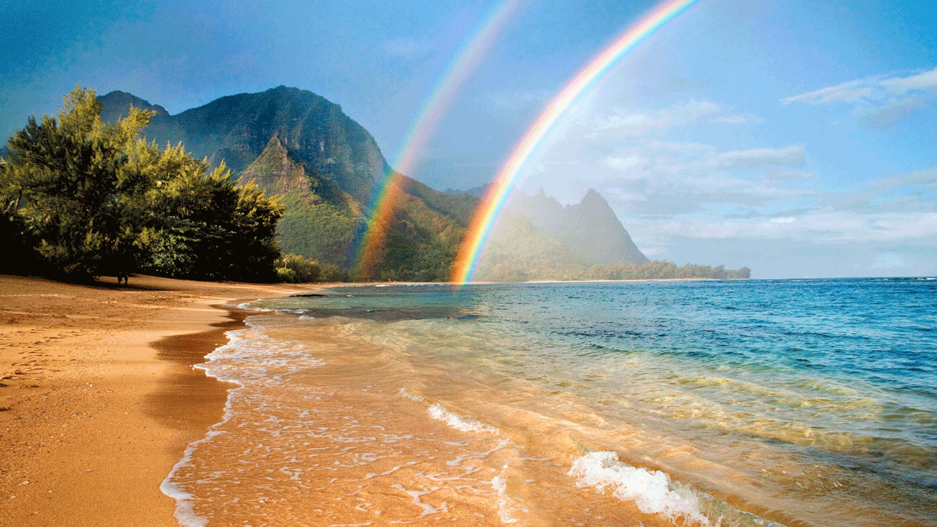 Free Hawaiʻi Science Lesson Resources and On-Demand PD for Teachers